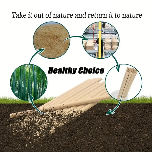 Bamboo Drinking Straw